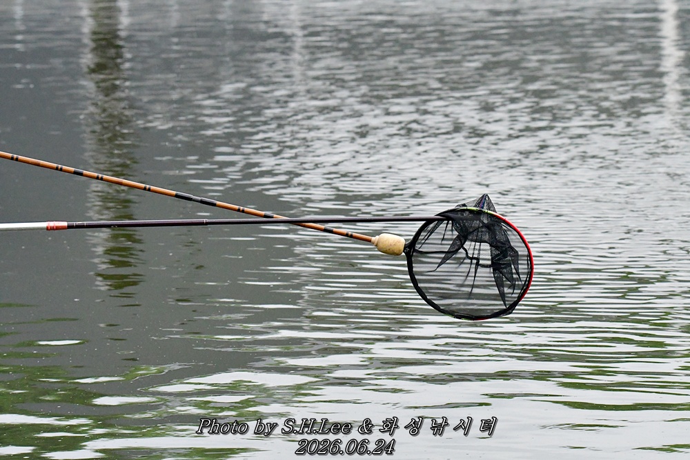 DSC_1285.JPG
