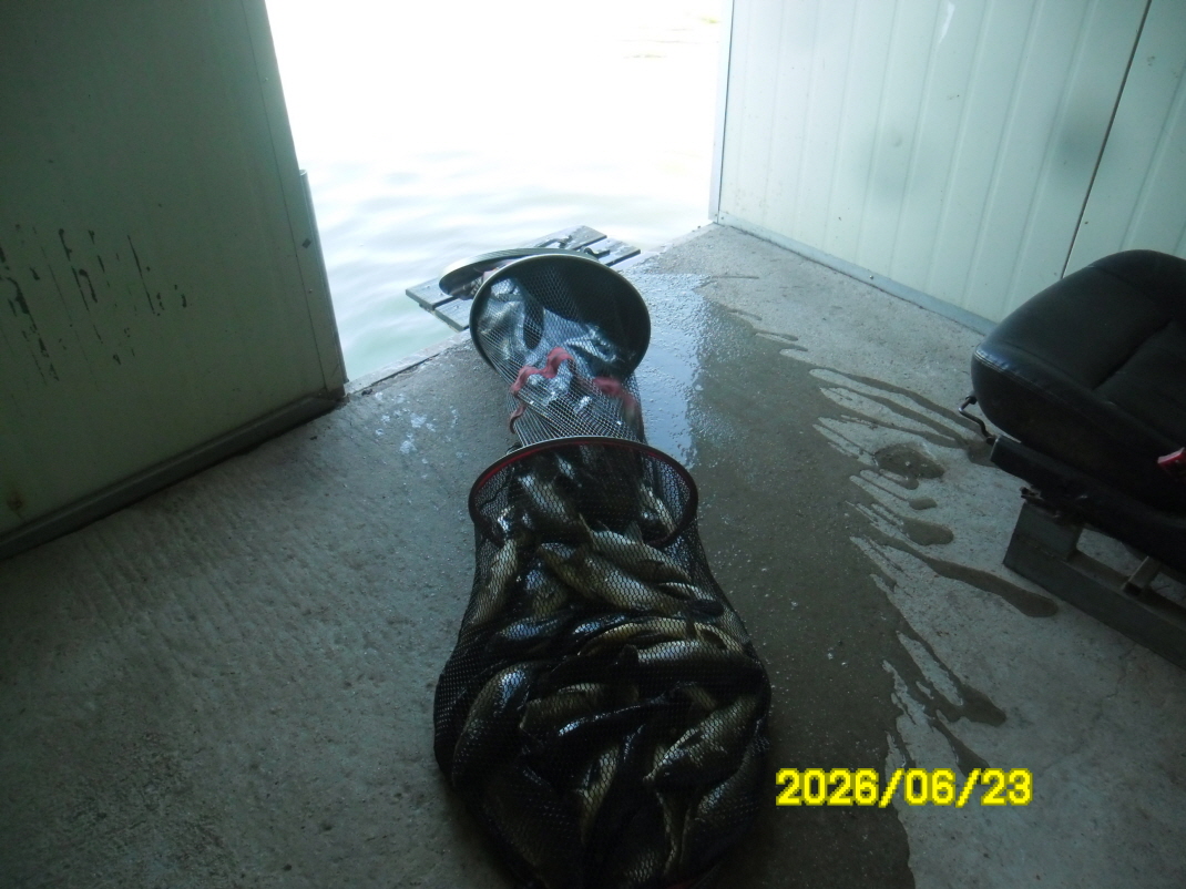 SAM_0737.JPG