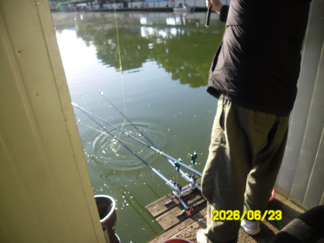 SAM_0748.JPG