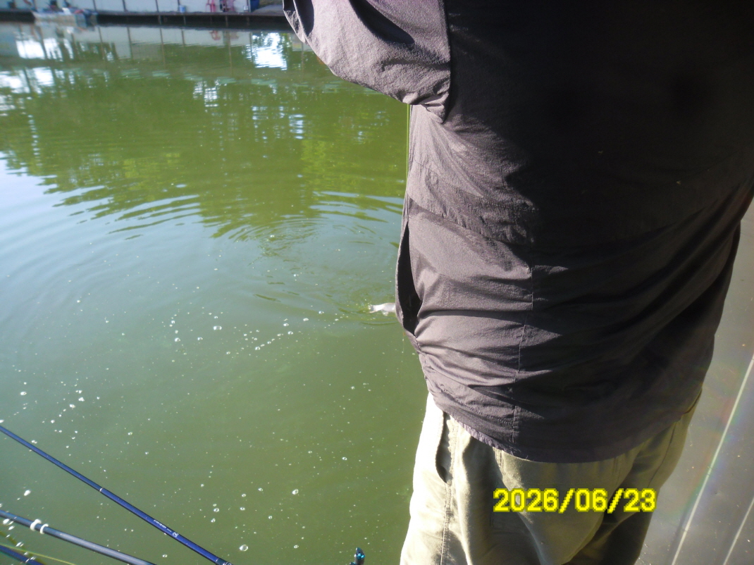 SAM_0750.JPG