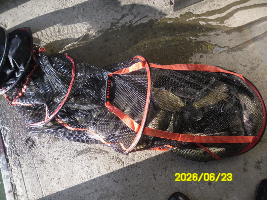 SAM_0757.JPG