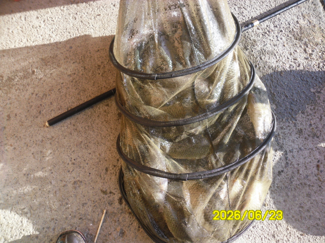 SAM_0765.JPG