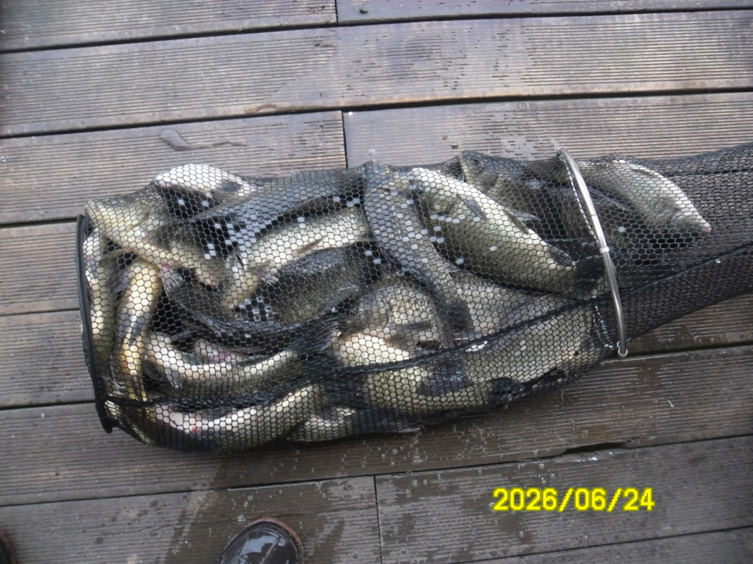 SAM_0770.JPG