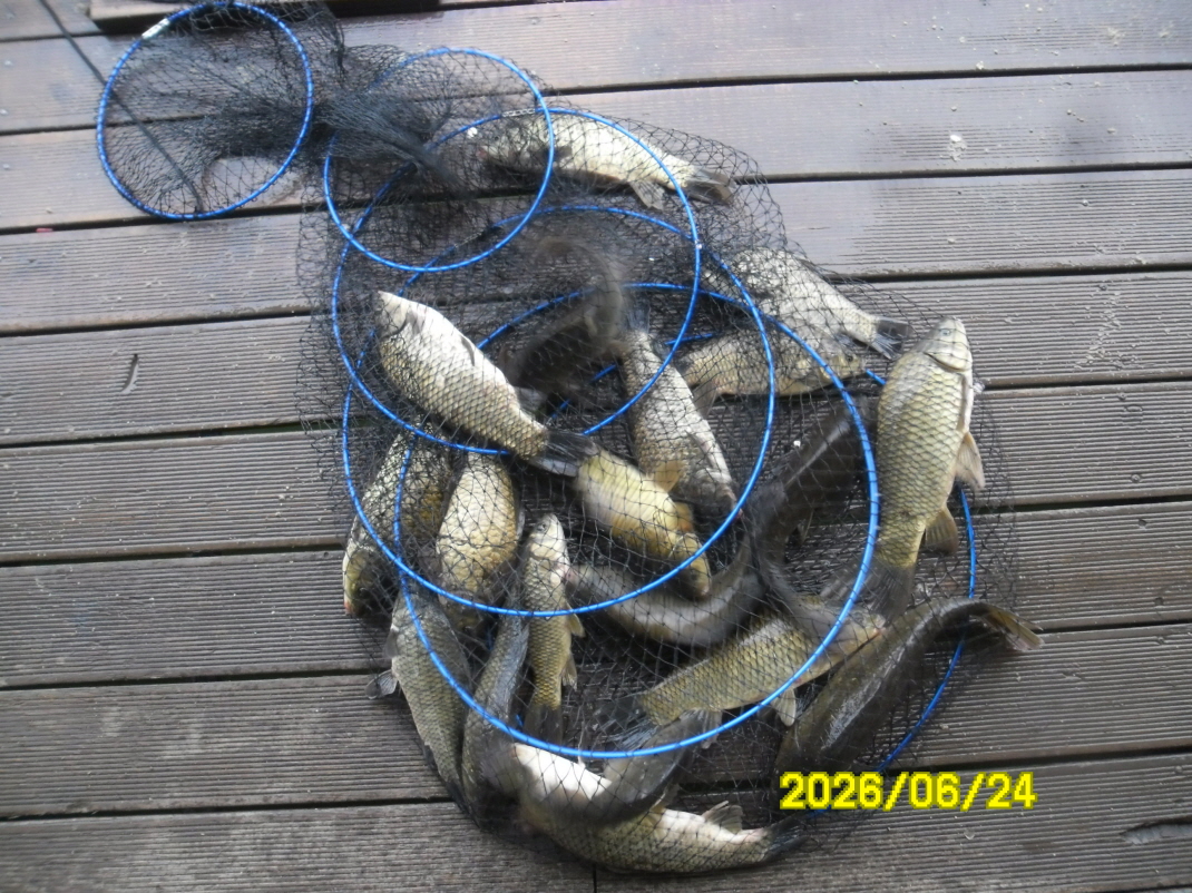 SAM_0774.JPG