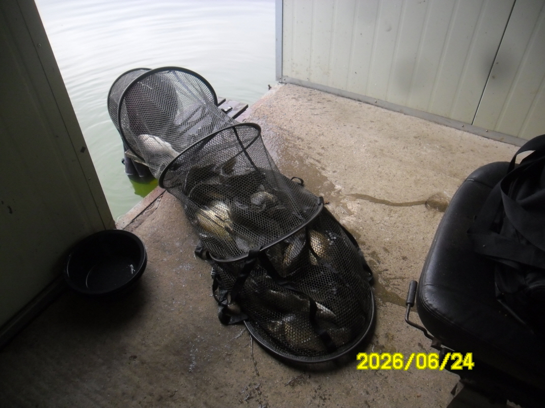 SAM_0779.JPG