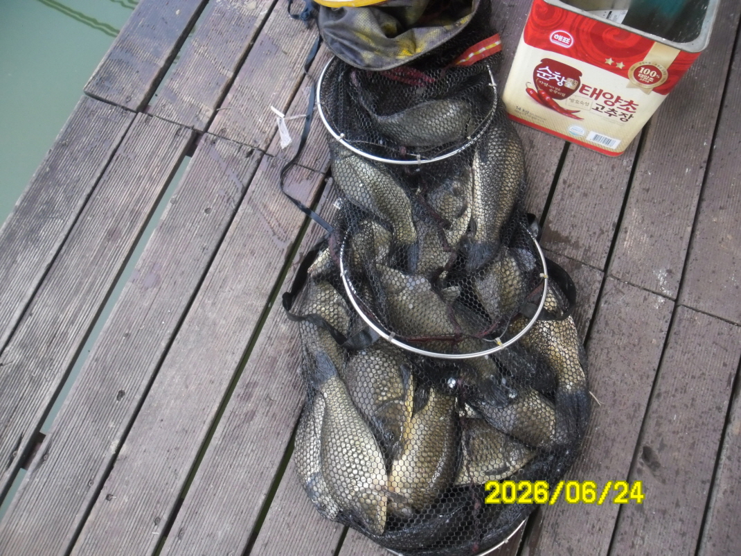 SAM_0785.JPG