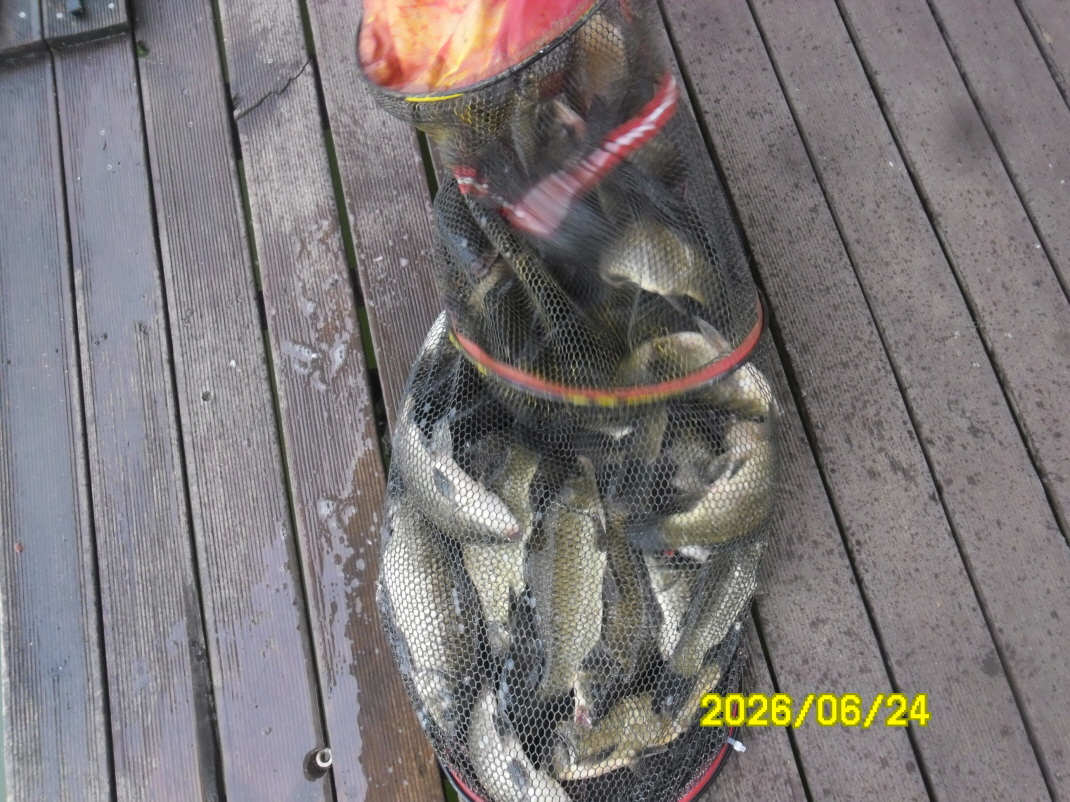 SAM_0789.JPG