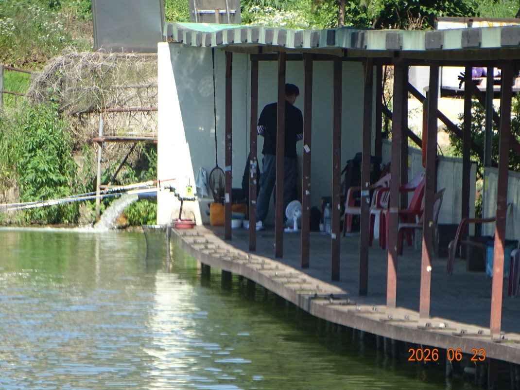 DSC05347.JPG