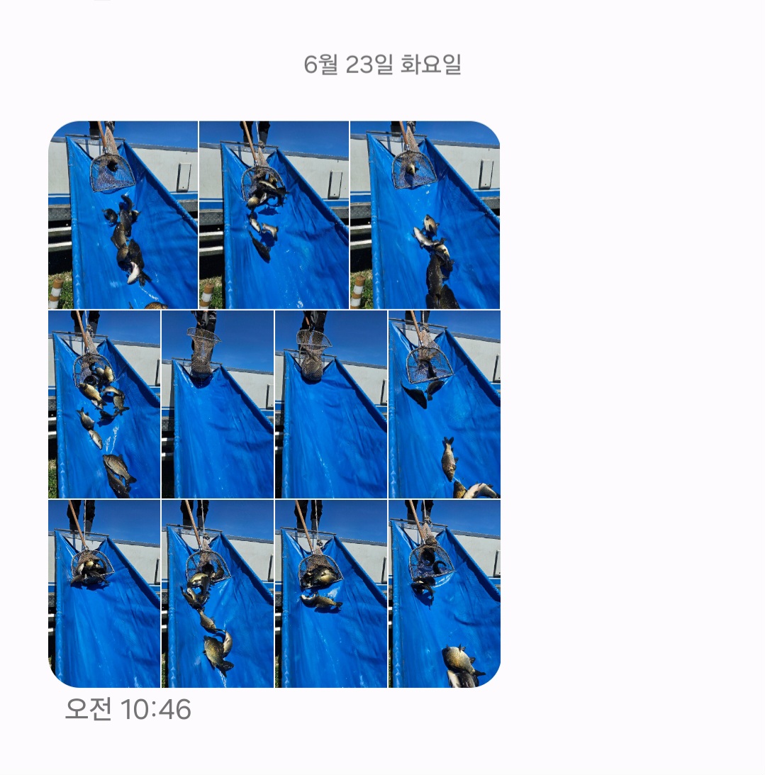 Screenshot_20260623_104827_Messages.jpg