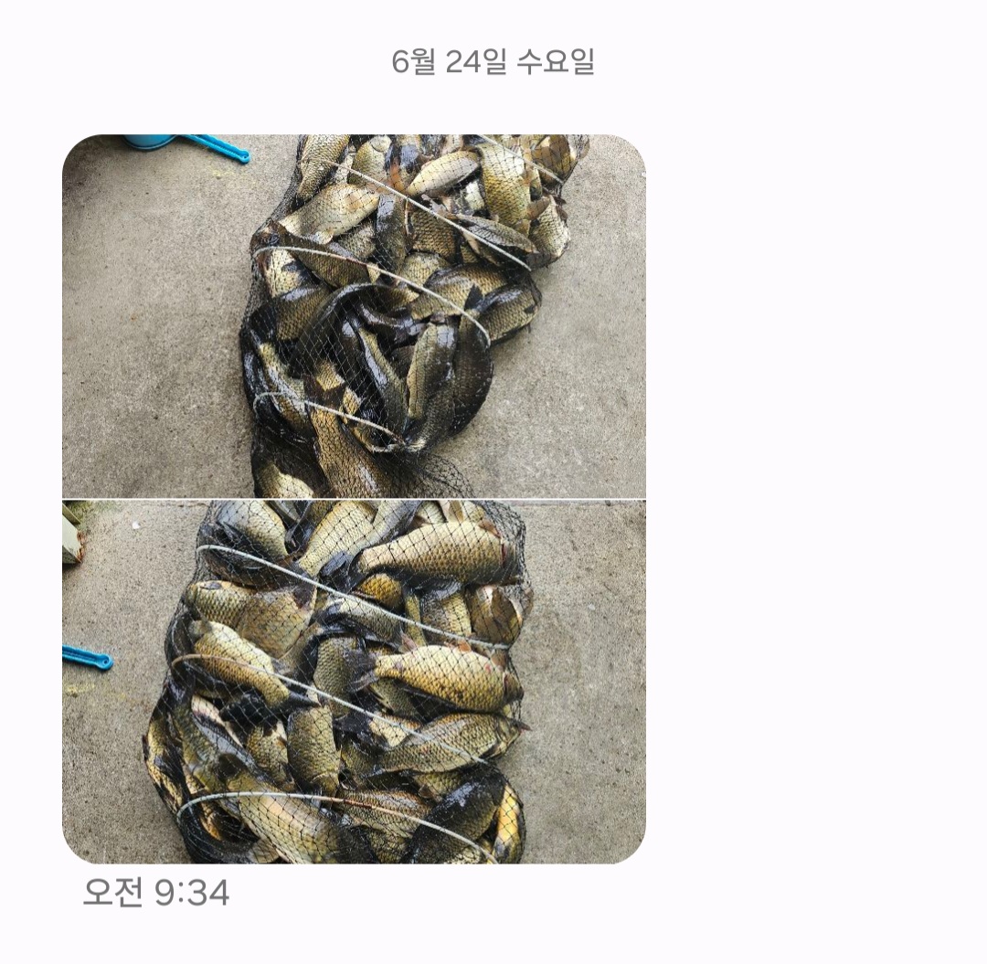 Screenshot_20260624_141818_Messages.jpg