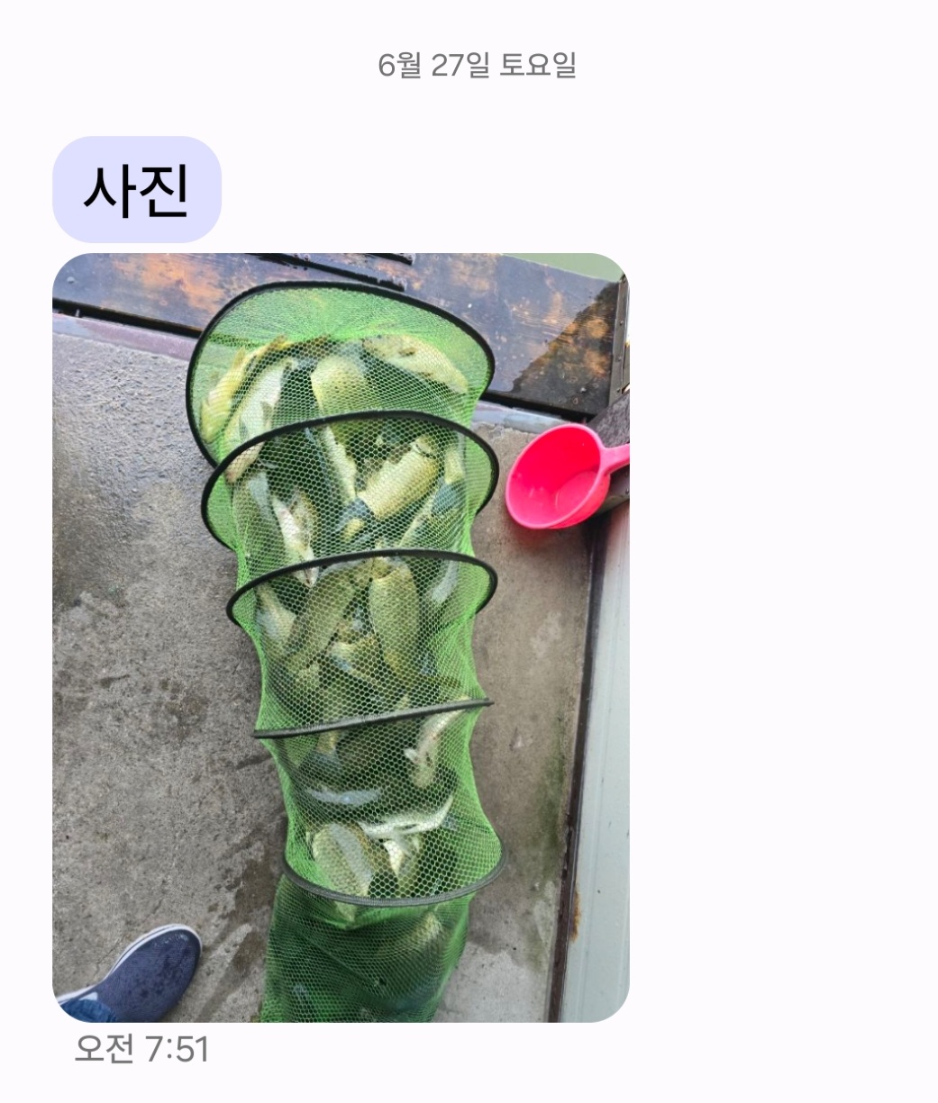 Screenshot_20260627_081946_Messages.jpg
