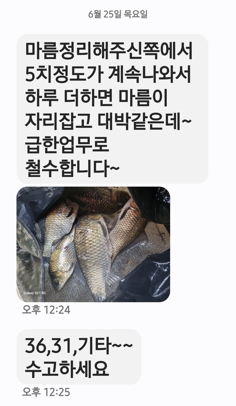 Screenshot_20260625_123936_Messages.jpg