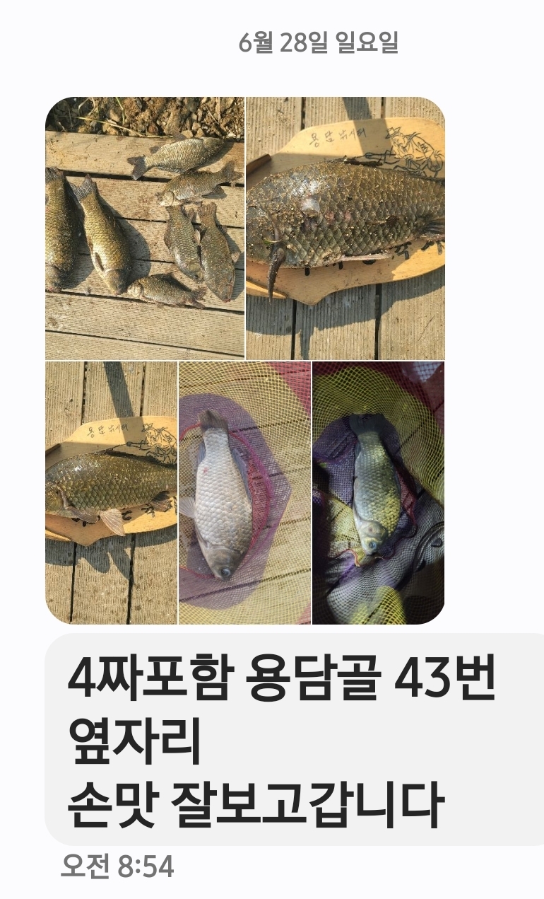 Screenshot_20260628_085552_Messages.jpg
