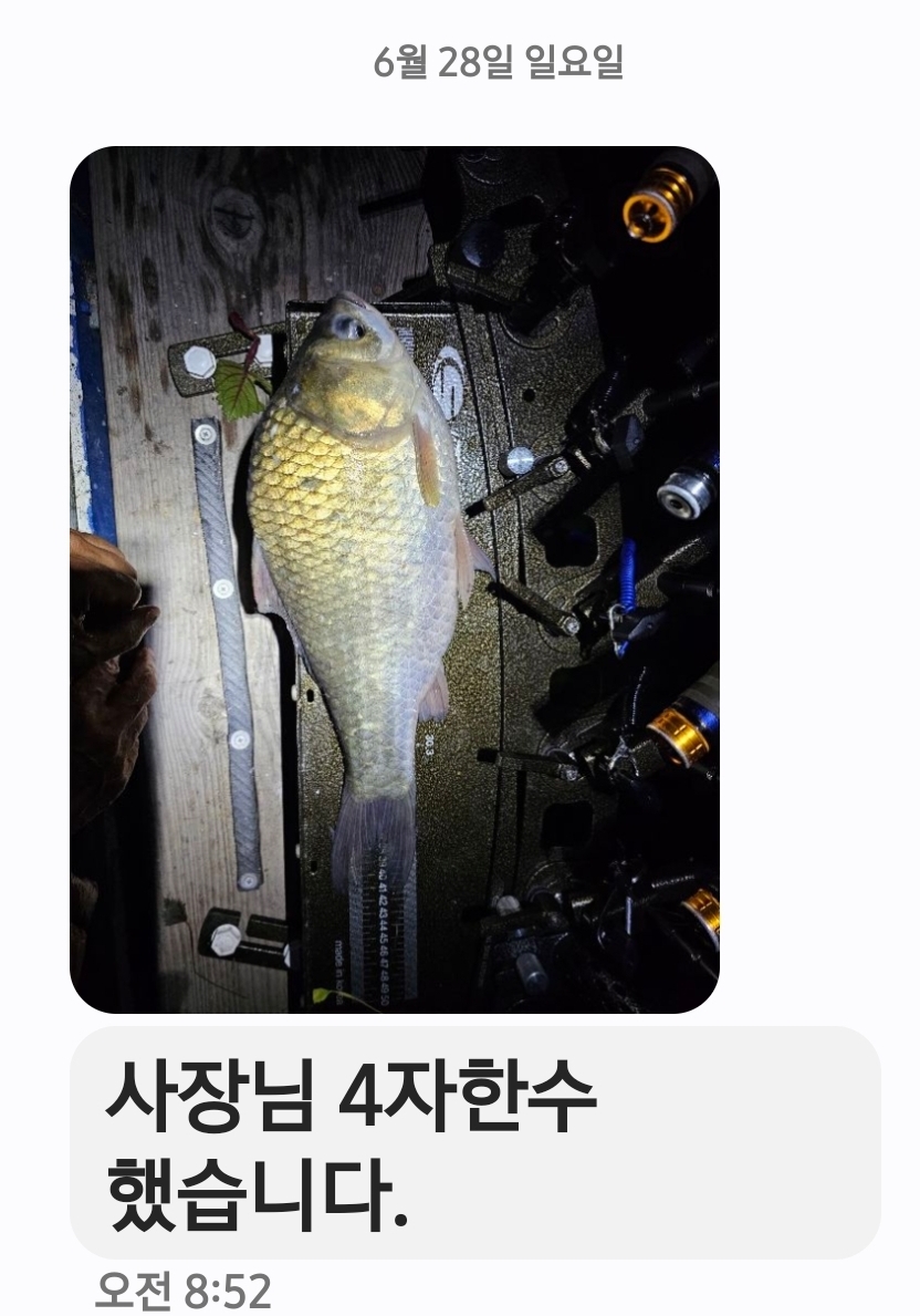Screenshot_20260628_085531_Messages.jpg