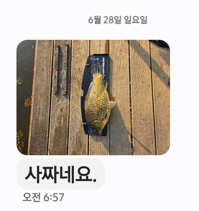 Screenshot_20260628_081520_Messages.jpg