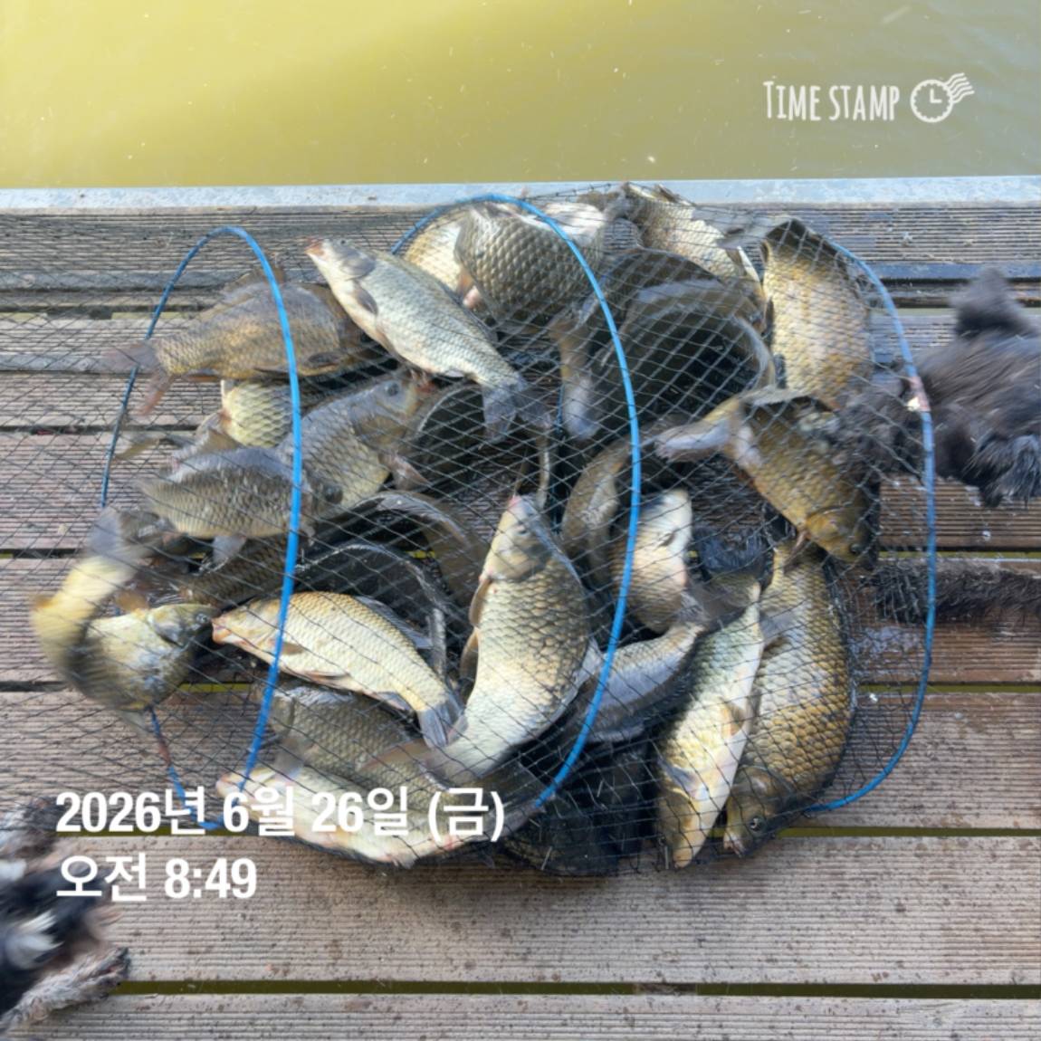 KakaoTalk_20260629_091830175_01.jpg