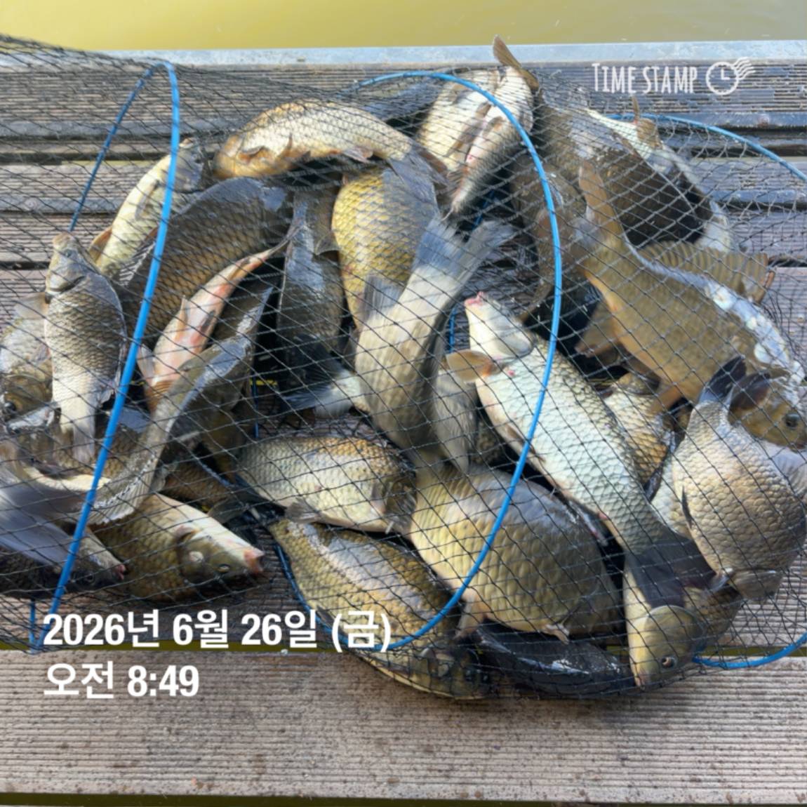 KakaoTalk_20260629_091830175_02.jpg