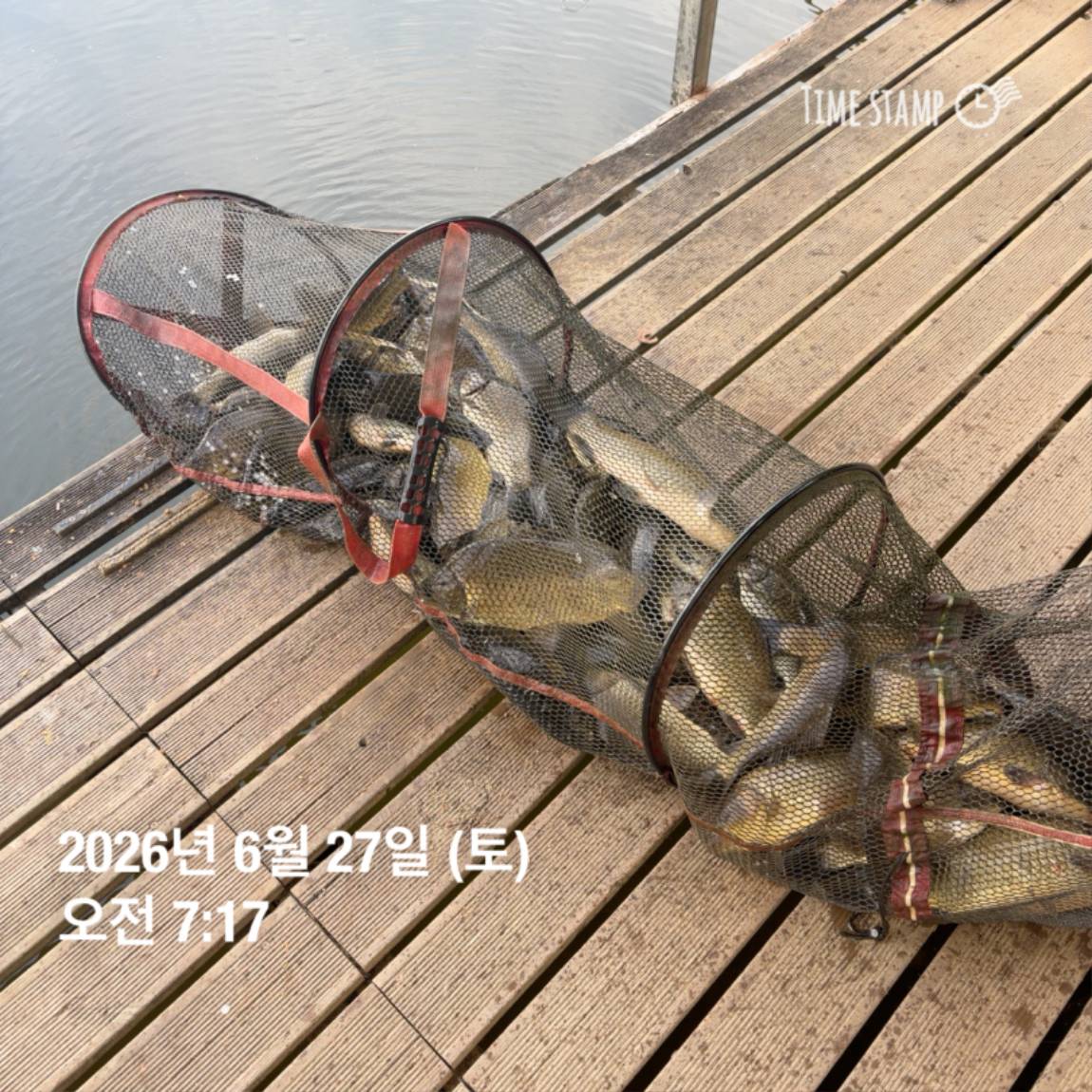 KakaoTalk_20260629_091830175_04.jpg