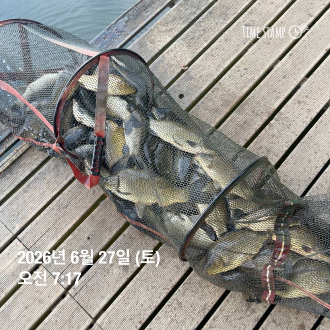 KakaoTalk_20260629_091830175_05.jpg