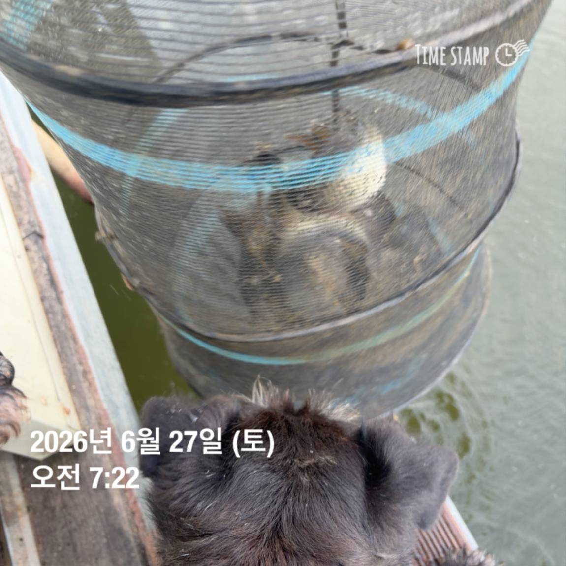 KakaoTalk_20260629_091830175_08.jpg