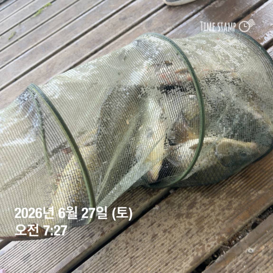 KakaoTalk_20260629_091830175_09.jpg