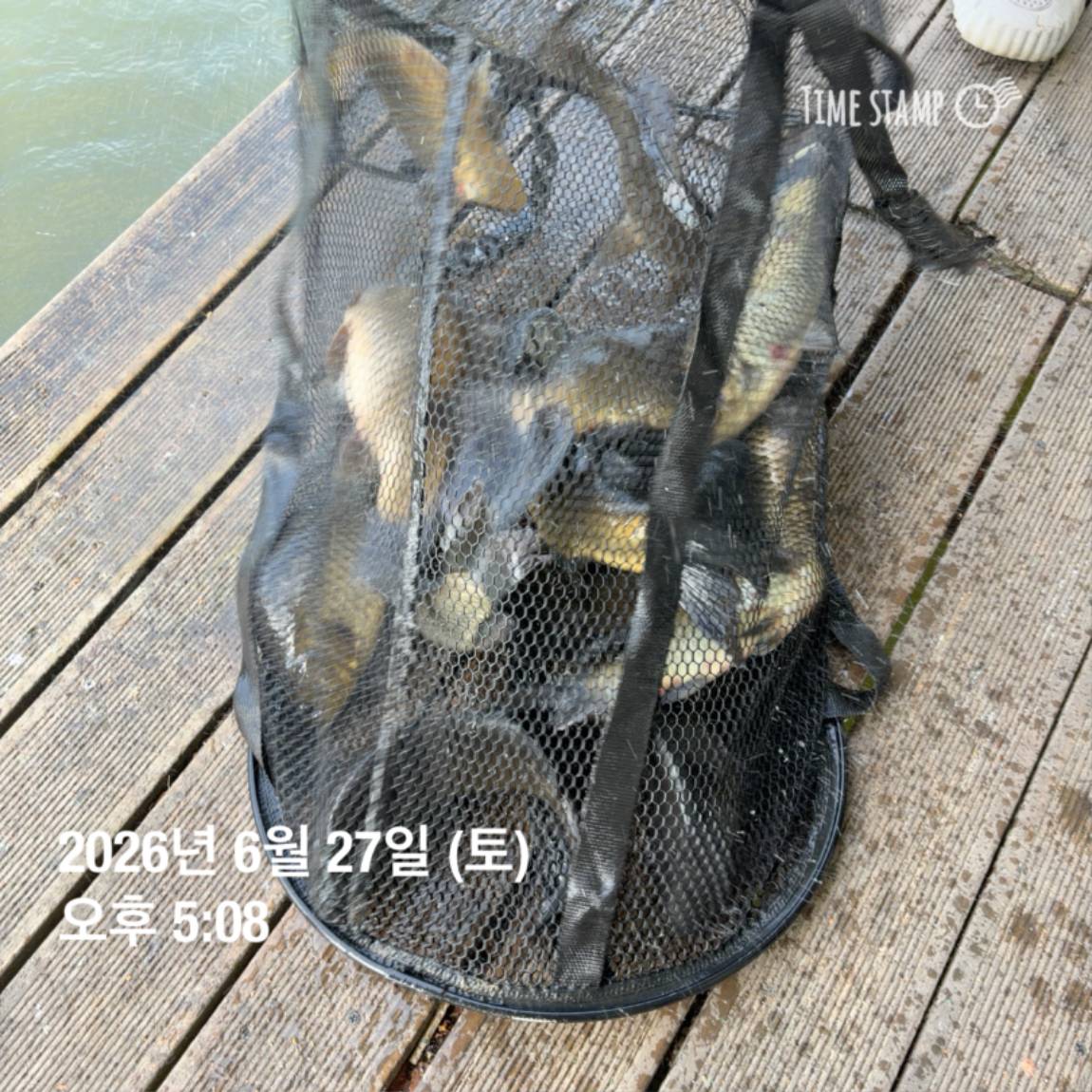 KakaoTalk_20260629_091830175_11.jpg