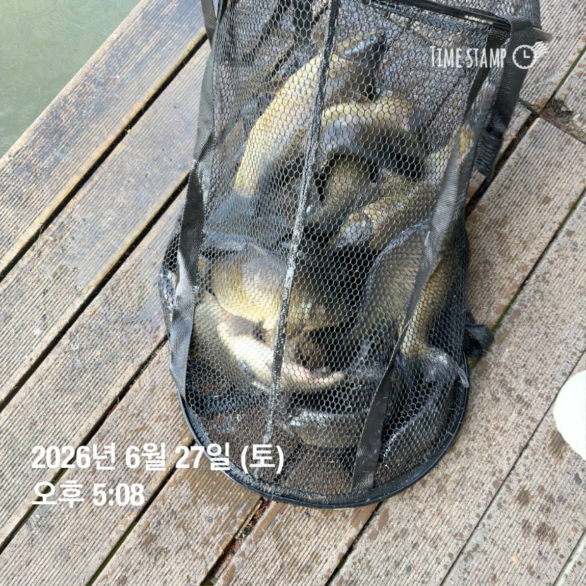 KakaoTalk_20260629_091830175_12.jpg