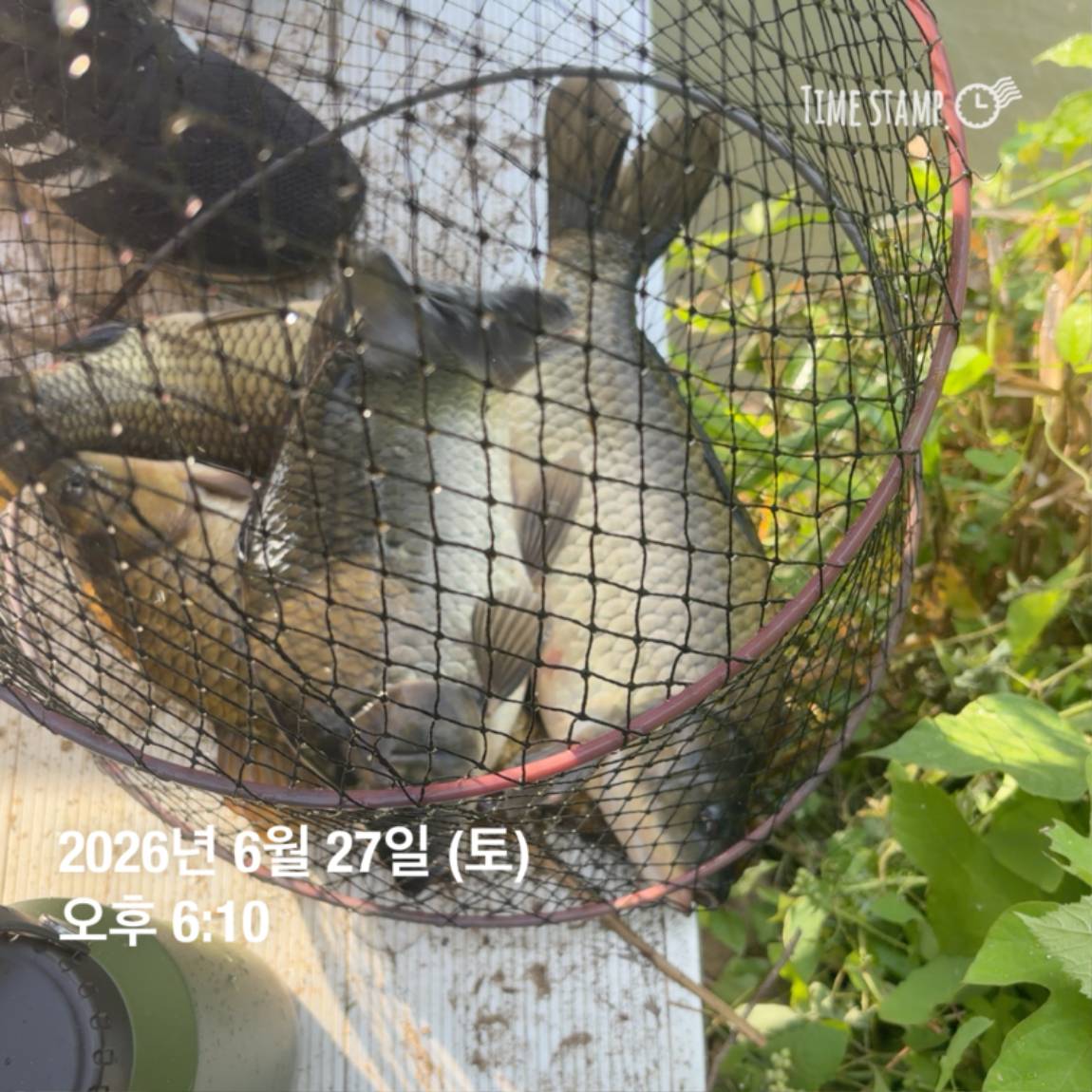 KakaoTalk_20260629_091830175_13.jpg