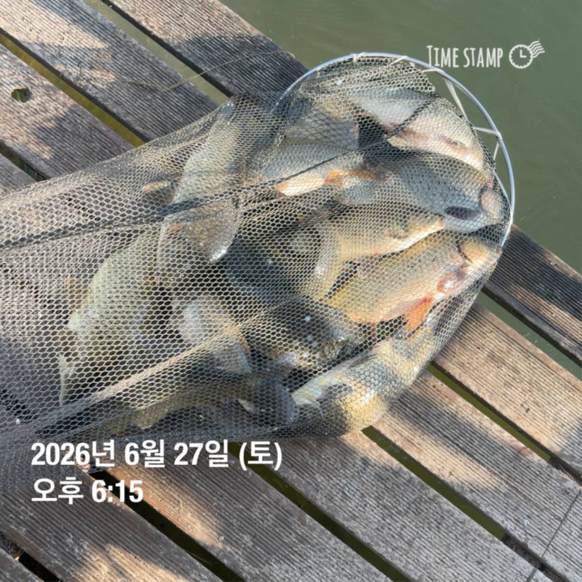 KakaoTalk_20260629_091830175_16.jpg