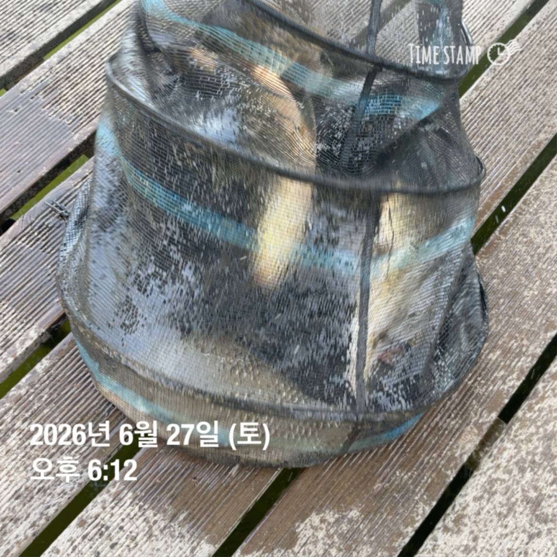 KakaoTalk_20260629_091830175_14.jpg