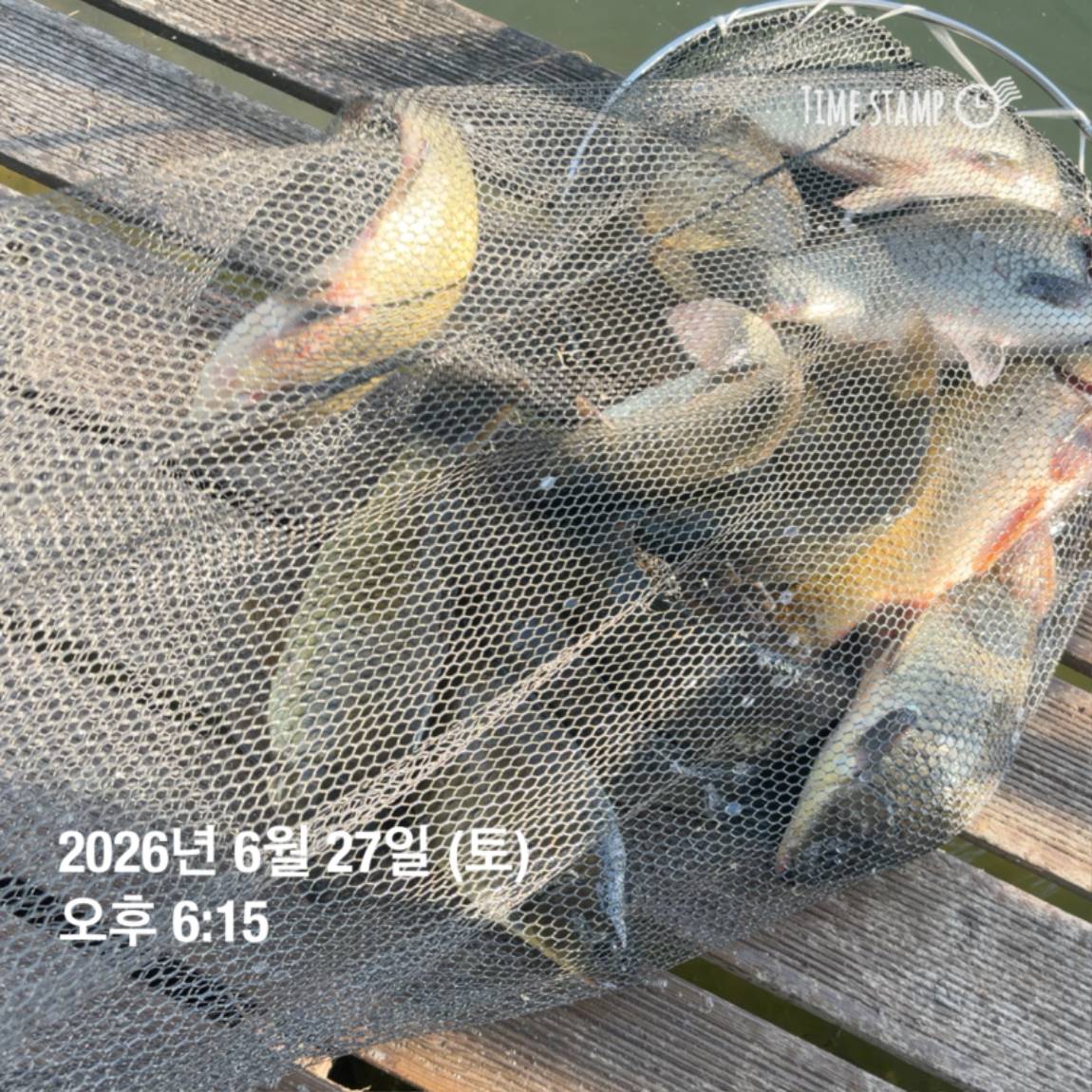 KakaoTalk_20260629_091830175_17.jpg
