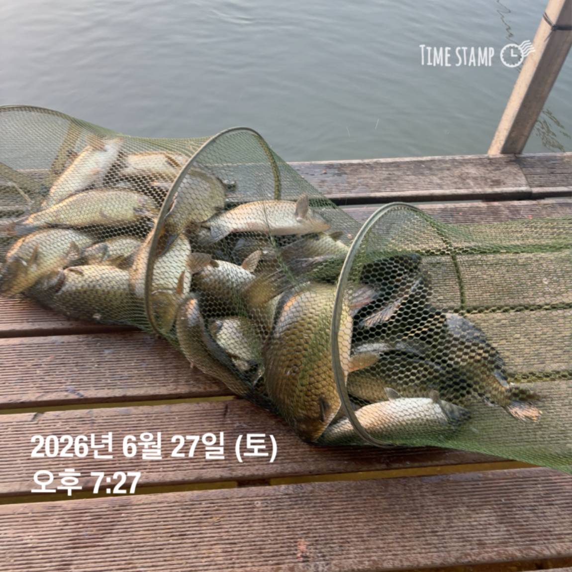 KakaoTalk_20260629_091830175_19.jpg