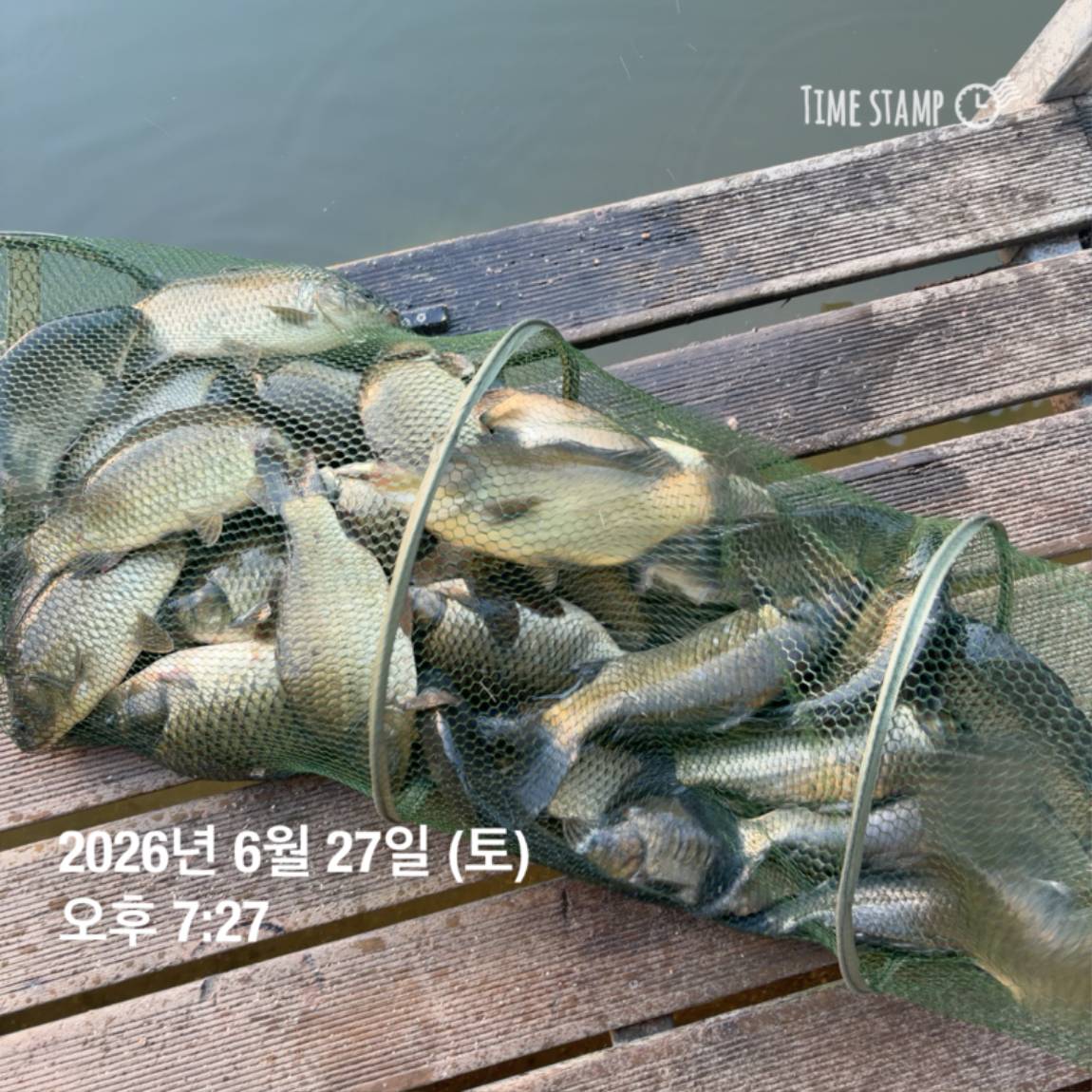 KakaoTalk_20260629_091830175_20.jpg