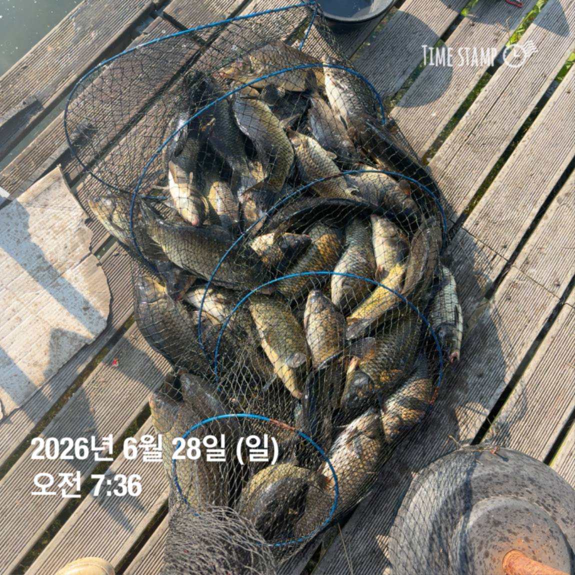 KakaoTalk_20260629_091830175_24.jpg