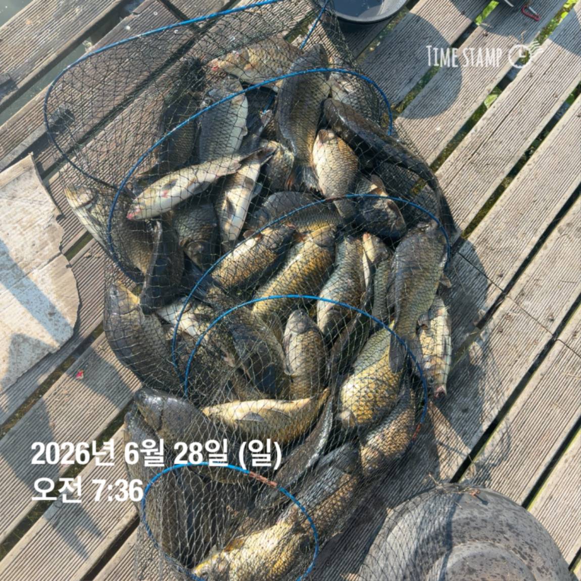 KakaoTalk_20260629_091830175_25.jpg
