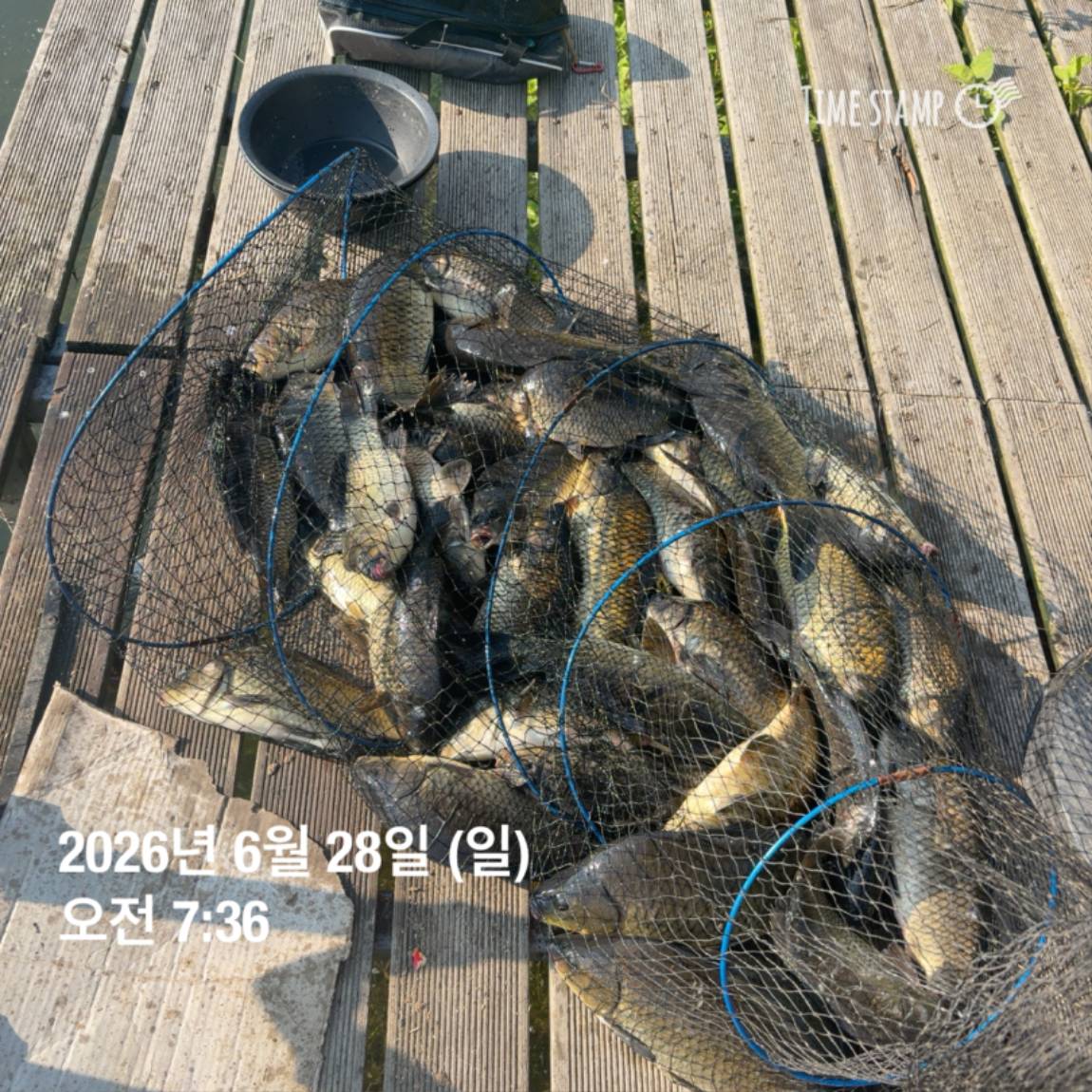 KakaoTalk_20260629_091830175_26.jpg
