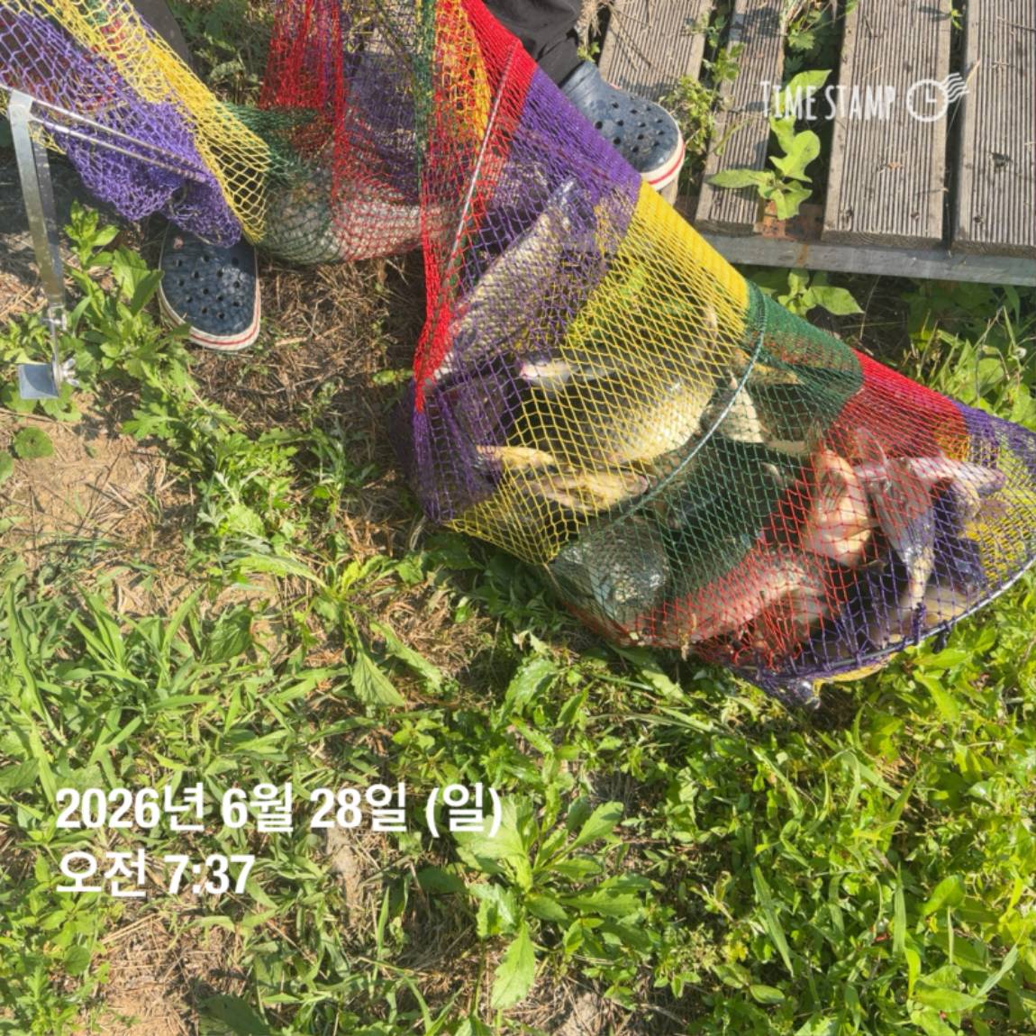 KakaoTalk_20260629_091830175_27.jpg