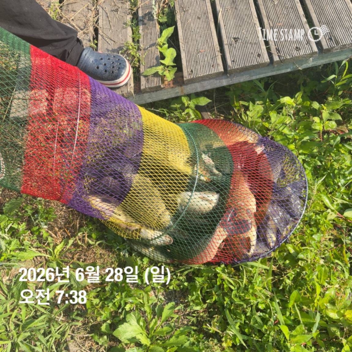 KakaoTalk_20260629_091830175_28.jpg