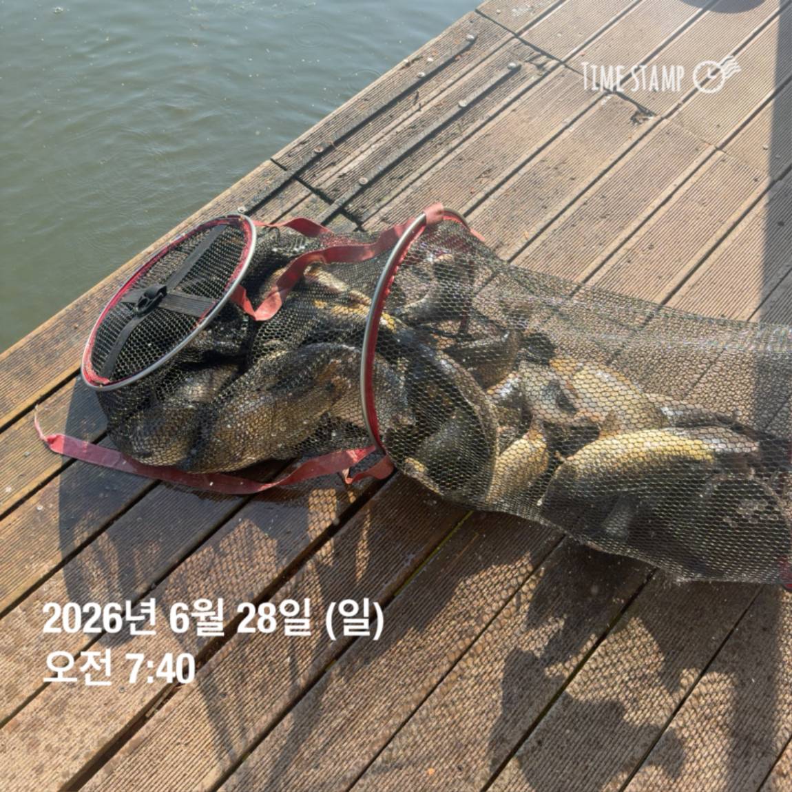 KakaoTalk_20260629_091837445.jpg