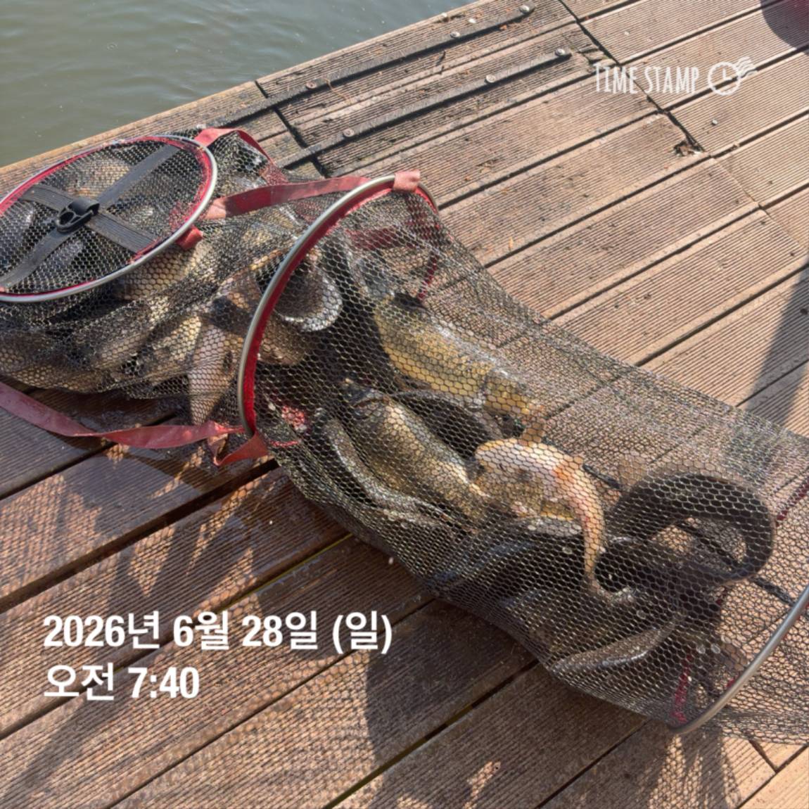 KakaoTalk_20260629_091837445_01.jpg