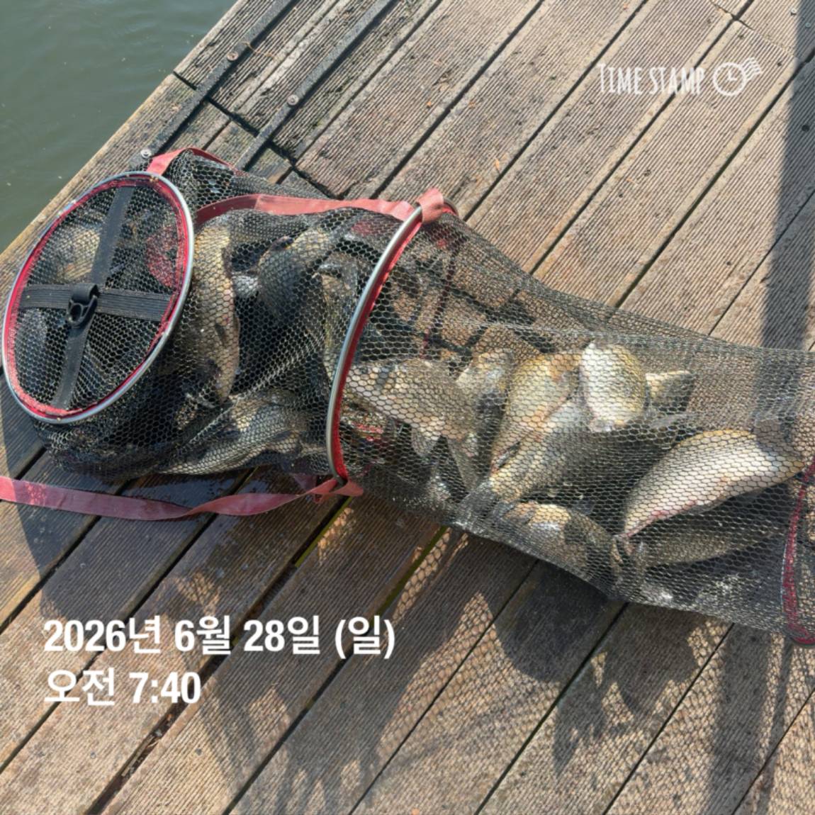 KakaoTalk_20260629_091837445_02.jpg