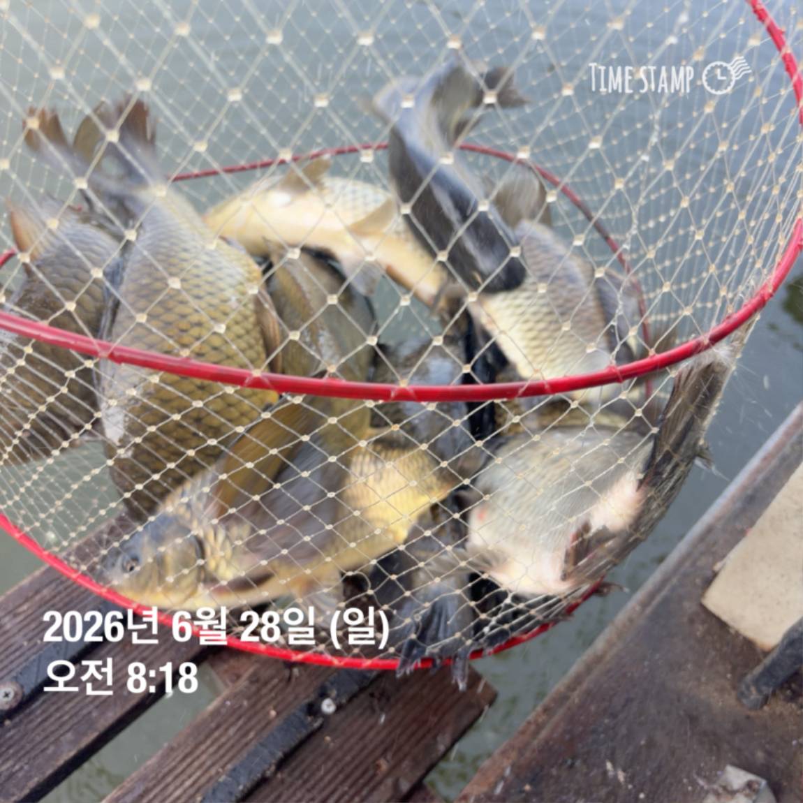 KakaoTalk_20260629_091837445_04.jpg
