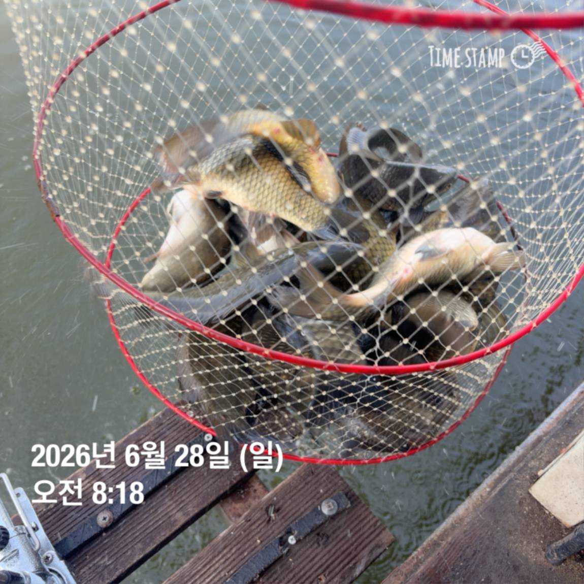 KakaoTalk_20260629_091837445_03.jpg