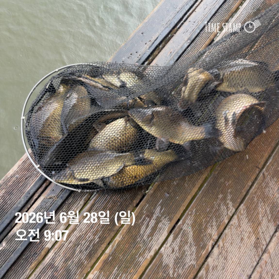 KakaoTalk_20260629_091837445_05.jpg