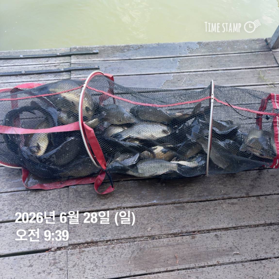 KakaoTalk_20260629_091837445_07.jpg