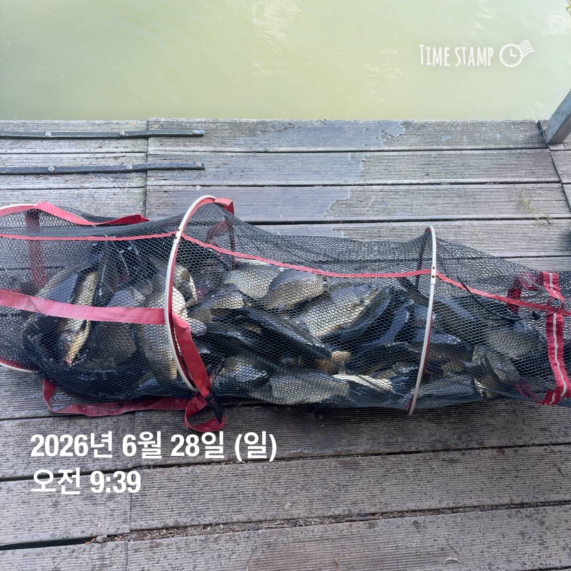 KakaoTalk_20260629_091837445_08.jpg