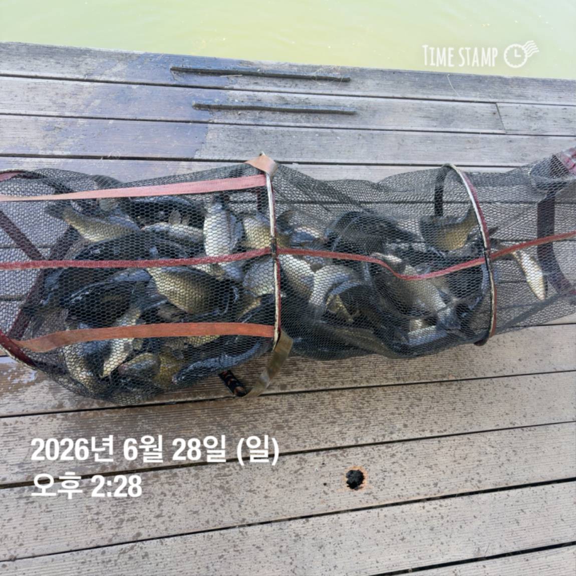 KakaoTalk_20260629_091837445_10.jpg