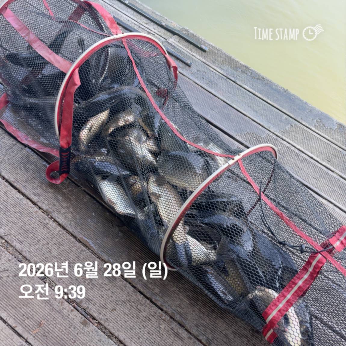 KakaoTalk_20260629_091837445_09.jpg