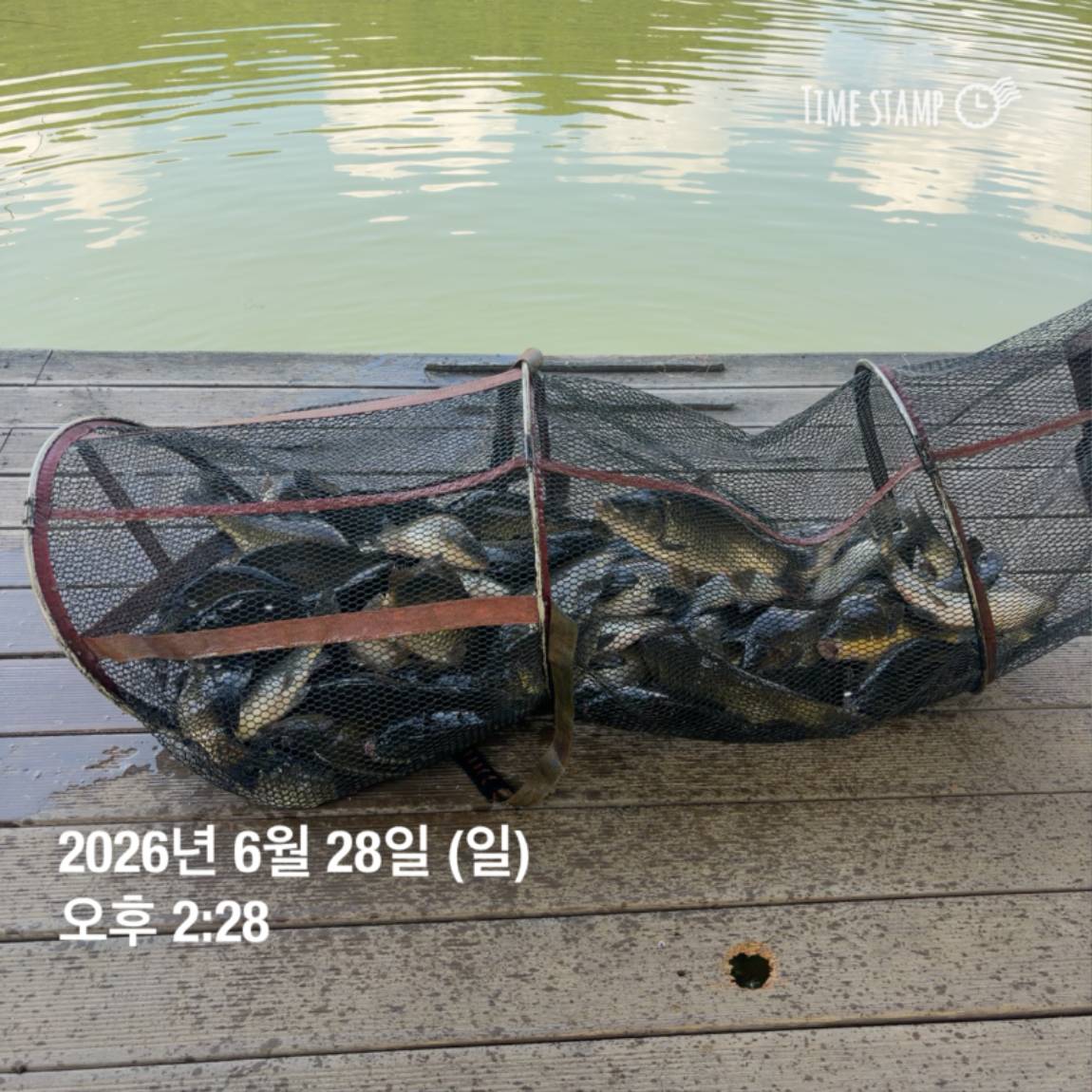 KakaoTalk_20260629_091837445_12.jpg
