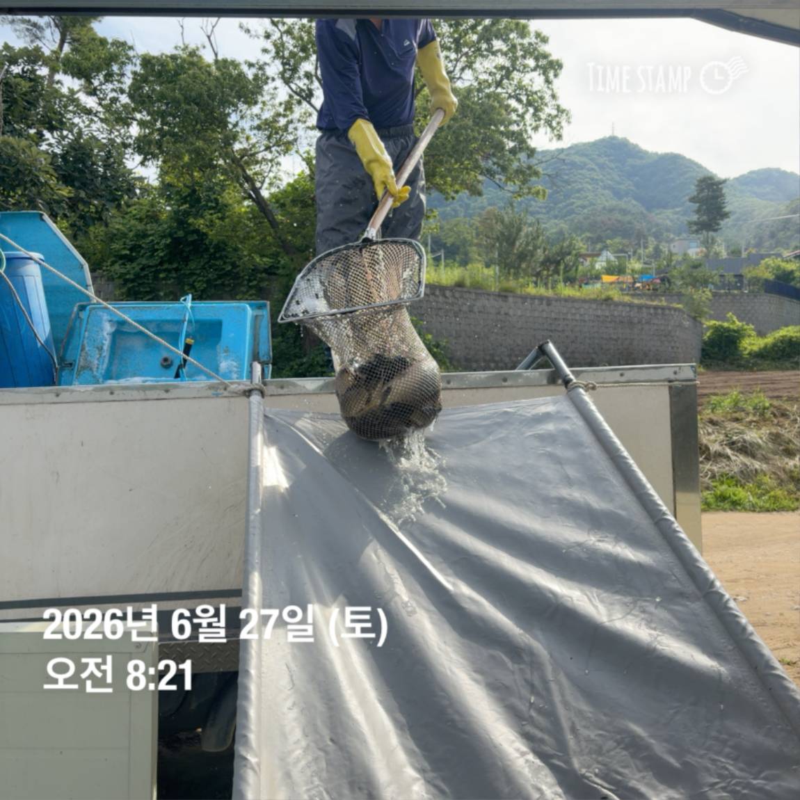 KakaoTalk_20260629_091837445_13.jpg